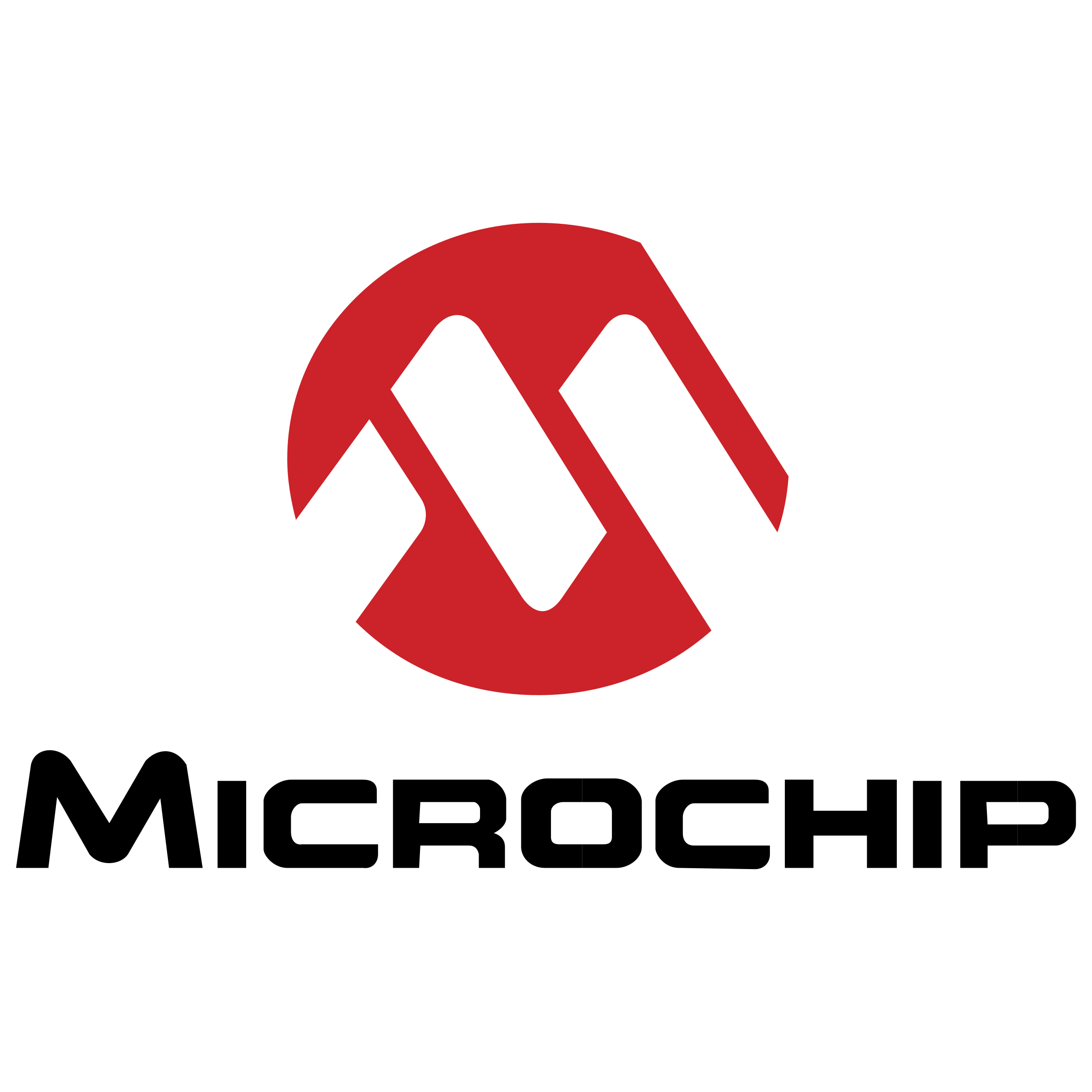 Microchip